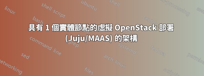 具有 1 個實體節點的虛擬 OpenStack 部署 (Juju/MAAS) 的架構