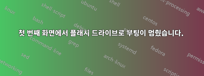첫 번째 화면에서 플래시 드라이브로 부팅이 멈췄습니다.