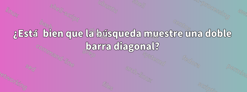 ¿Está bien que la búsqueda muestre una doble barra diagonal?