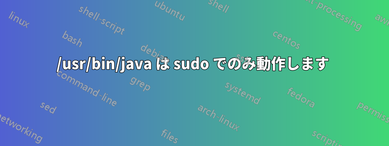 /usr/bin/java は sudo でのみ動作します