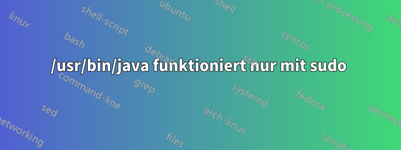 /usr/bin/java funktioniert nur mit sudo