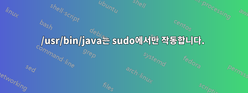 /usr/bin/java는 sudo에서만 작동합니다.