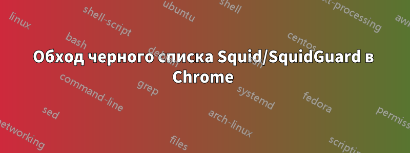 Обход черного списка Squid/SquidGuard в Chrome