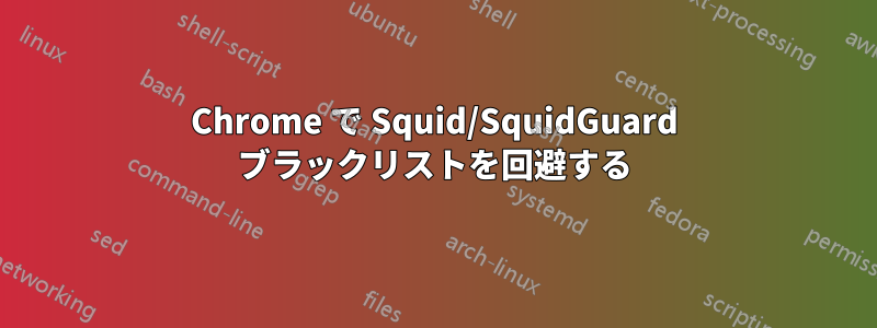 Chrome で Squid/SquidGuard ブラックリストを回避する