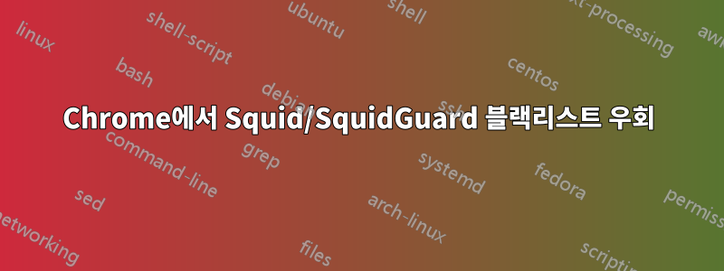 Chrome에서 Squid/SquidGuard 블랙리스트 우회