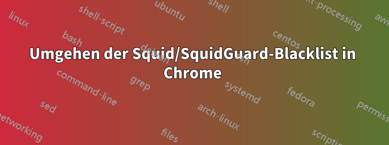 Umgehen der Squid/SquidGuard-Blacklist in Chrome