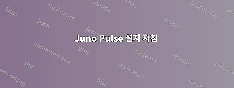 Juno Pulse 설치 지침