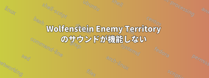 Wolfenstein Enemy Territory のサウンドが機能しない