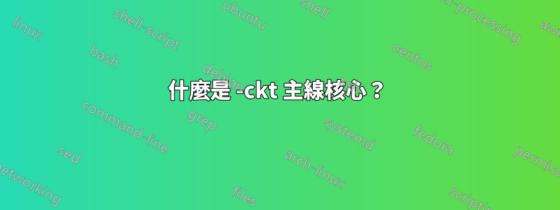 什麼是 -ckt 主線核心？