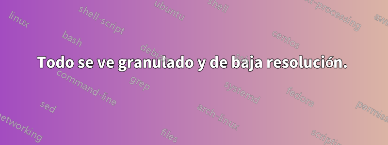 Todo se ve granulado y de baja resolución.