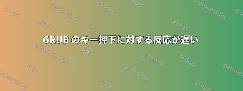 GRUB のキー押下に対する反応が遅い