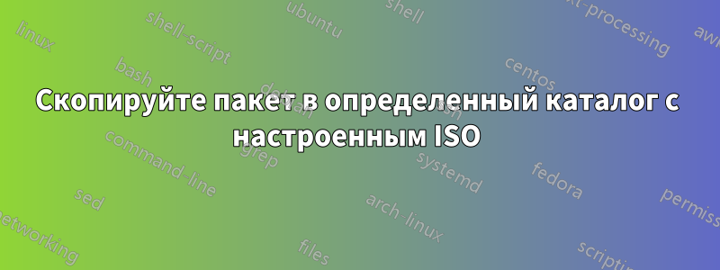 Скопируйте пакет в определенный каталог с настроенным ISO