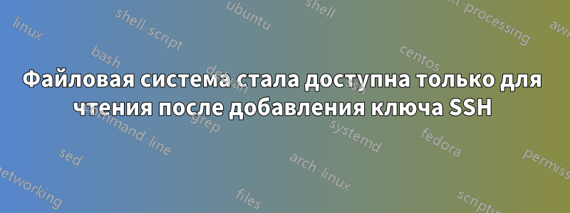 Файловая система стала доступна только для чтения после добавления ключа SSH