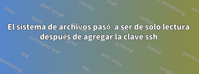 El sistema de archivos pasó a ser de solo lectura después de agregar la clave ssh