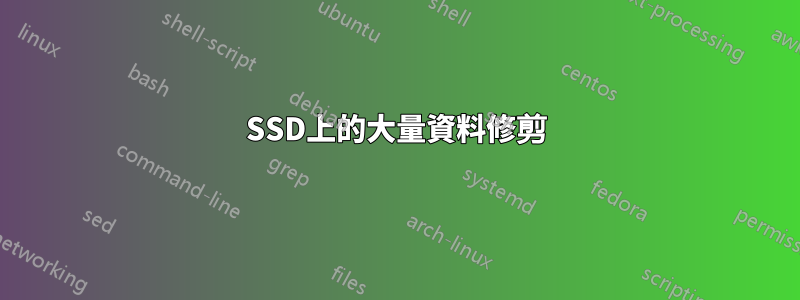 SSD上的大量資料修剪