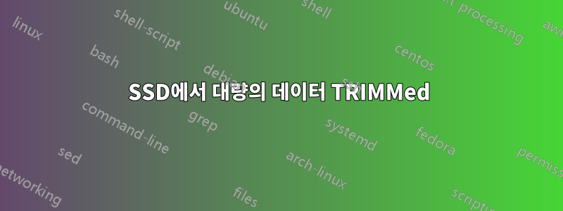 SSD에서 대량의 데이터 TRIMMed