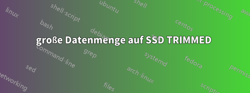 große Datenmenge auf SSD TRIMMED