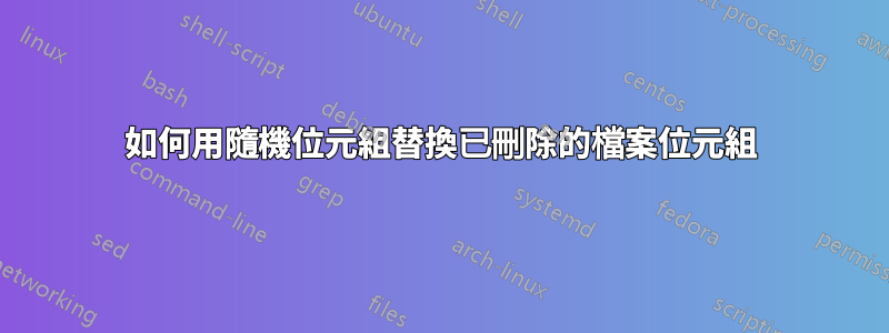 如何用隨機位元組替換已刪除的檔案位元組