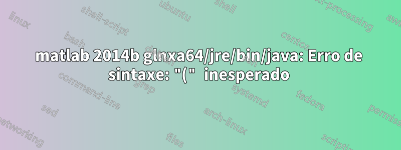 matlab 2014b glnxa64/jre/bin/java: Erro de sintaxe: "(" inesperado