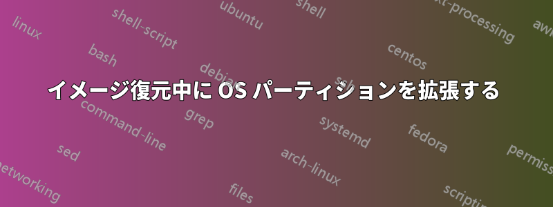 イメージ復元中に OS パーティションを拡張する