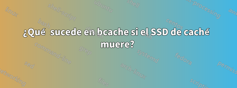 ¿Qué sucede en bcache si el SSD de caché muere?