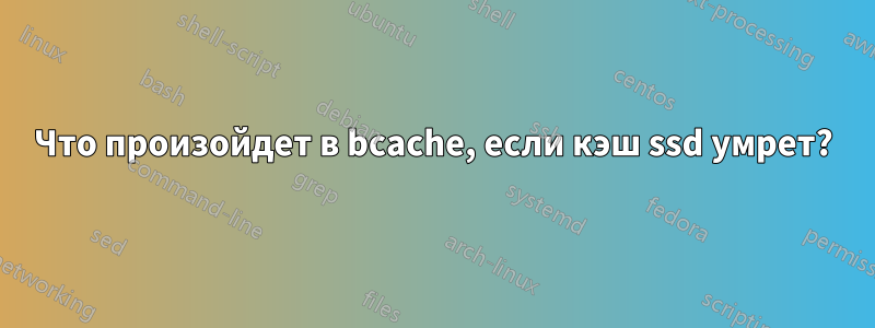 Что произойдет в bcache, если кэш ssd умрет?