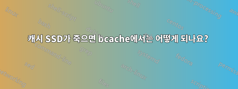 캐시 SSD가 죽으면 bcache에서는 어떻게 되나요?