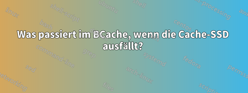 Was passiert im BCache, wenn die Cache-SSD ausfällt?