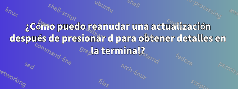 ¿Cómo puedo reanudar una actualización después de presionar d para obtener detalles en la terminal?