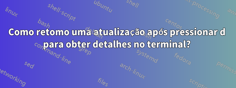 Como retomo uma atualização após pressionar d para obter detalhes no terminal?