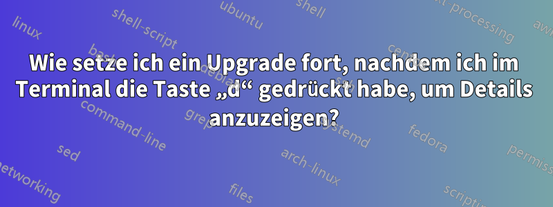 Wie setze ich ein Upgrade fort, nachdem ich im Terminal die Taste „d“ gedrückt habe, um Details anzuzeigen?