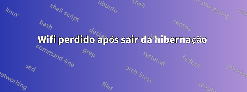 Wifi perdido após sair da hibernação