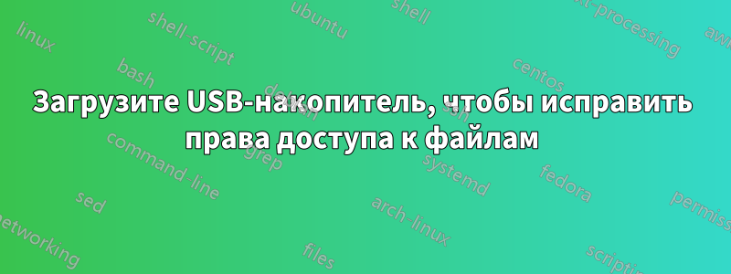 Загрузите USB-накопитель, чтобы исправить права доступа к файлам