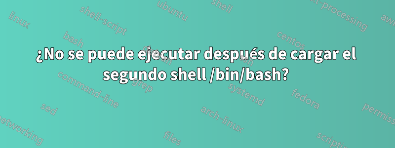 ¿No se puede ejecutar después de cargar el segundo shell /bin/bash?