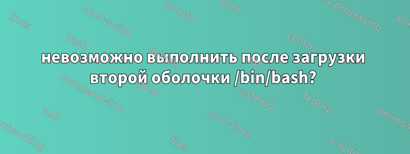 невозможно выполнить после загрузки второй оболочки /bin/bash?