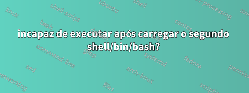 incapaz de executar após carregar o segundo shell/bin/bash?