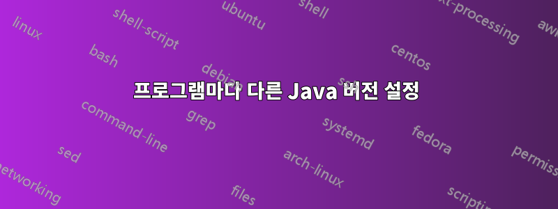 프로그램마다 다른 Java 버전 설정