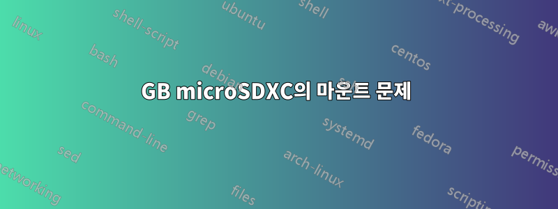 64GB microSDXC의 마운트 문제