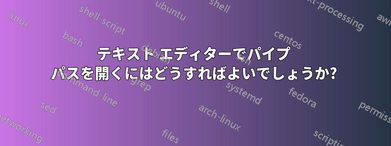 テキスト エディターでパイプ パスを開くにはどうすればよいでしょうか?