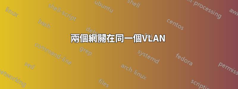 兩個網關在同一個VLAN