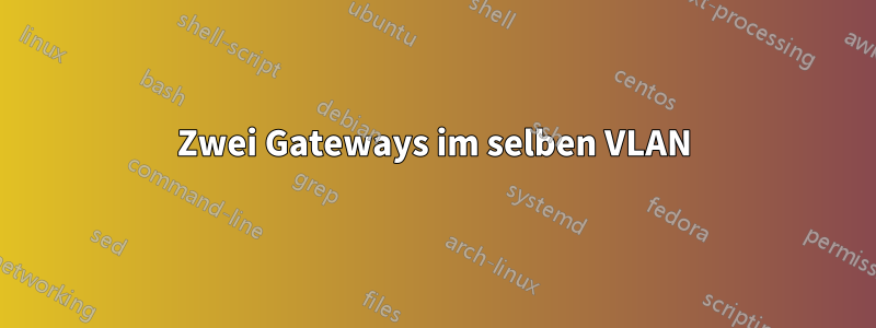 Zwei Gateways im selben VLAN