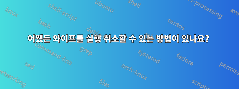 어쨌든 와이프를 실행 취소할 수 있는 방법이 있나요?