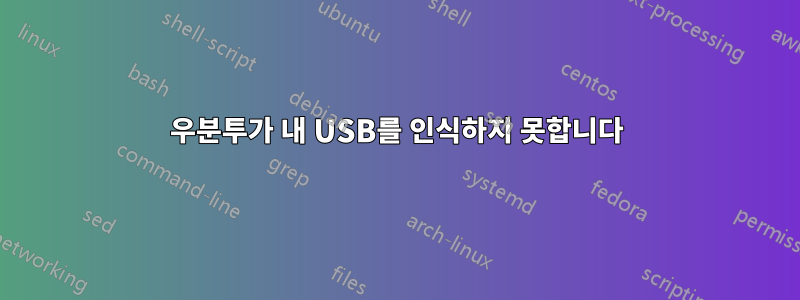 우분투가 내 USB를 인식하지 못합니다