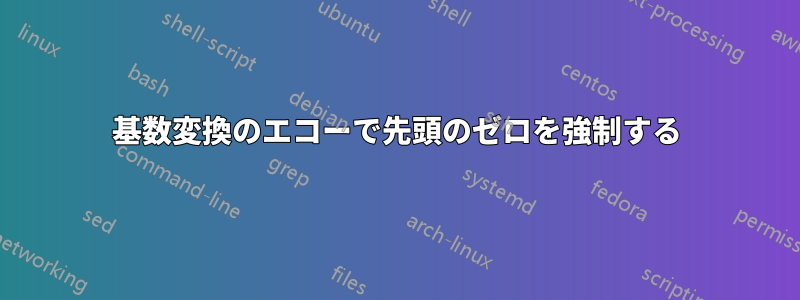 基数変換のエコーで先頭のゼロを強制する