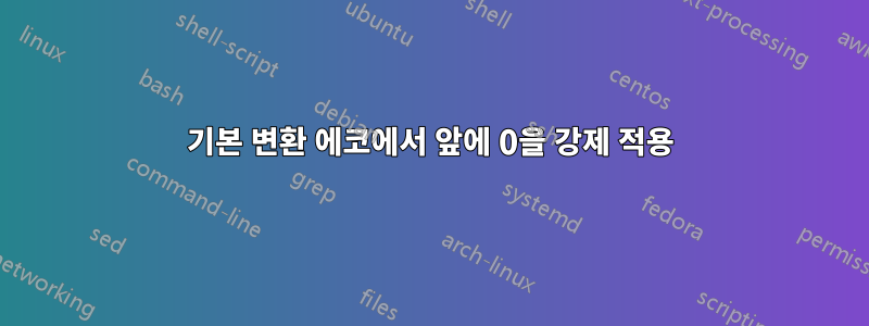 기본 변환 에코에서 앞에 0을 강제 적용