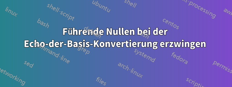 Führende Nullen bei der Echo-der-Basis-Konvertierung erzwingen