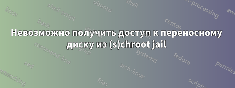 Невозможно получить доступ к переносному диску из (s)chroot jail