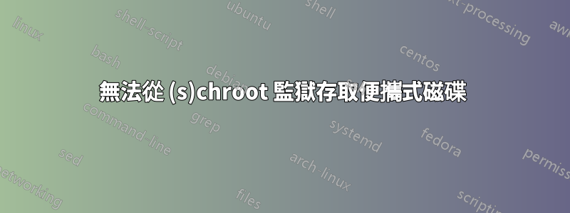 無法從 (s)chroot 監獄存取便攜式磁碟