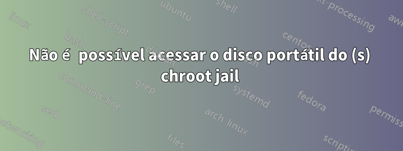 Não é possível acessar o disco portátil do (s) chroot jail