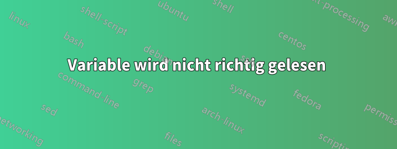 Variable wird nicht richtig gelesen